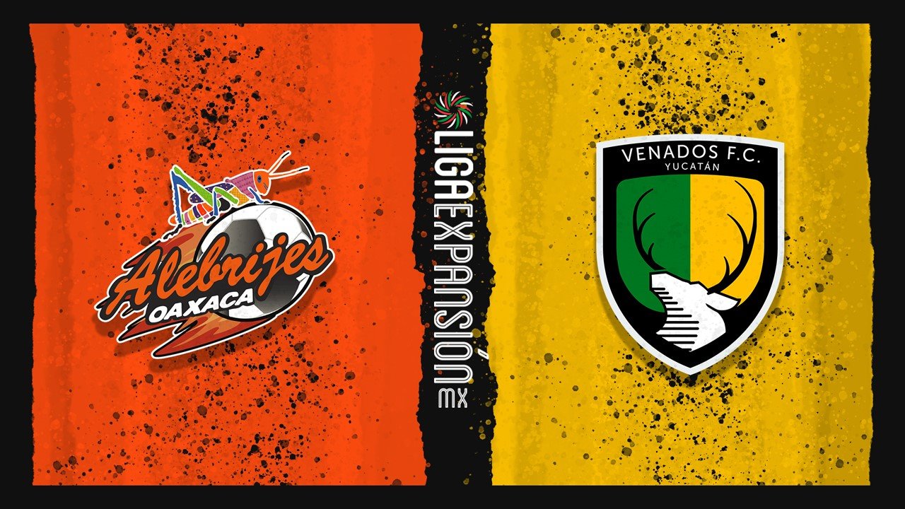 Alebrijes de Oaxaca vs Venados poster Alebrijes de Oaxaca vs Venados poster