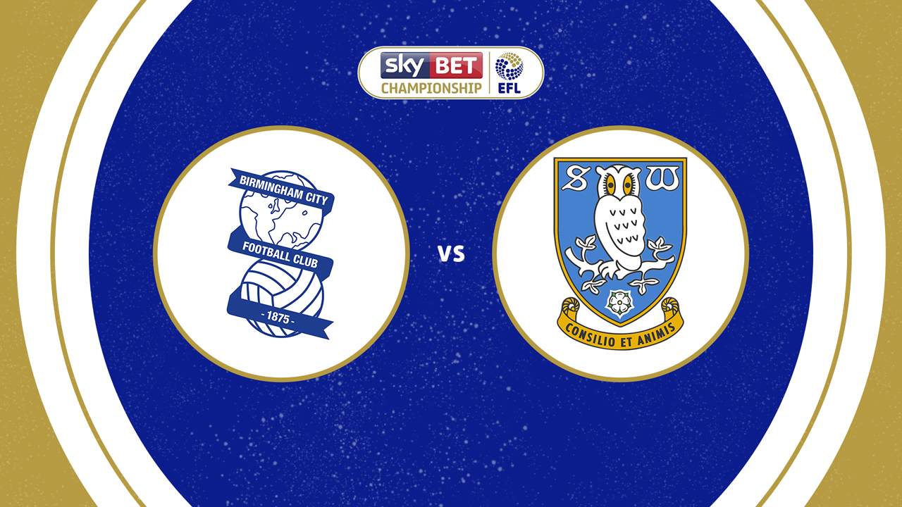 Birmingham City vs Sheffield Wednesday poster Birmingham City vs Sheffield Wednesday poster