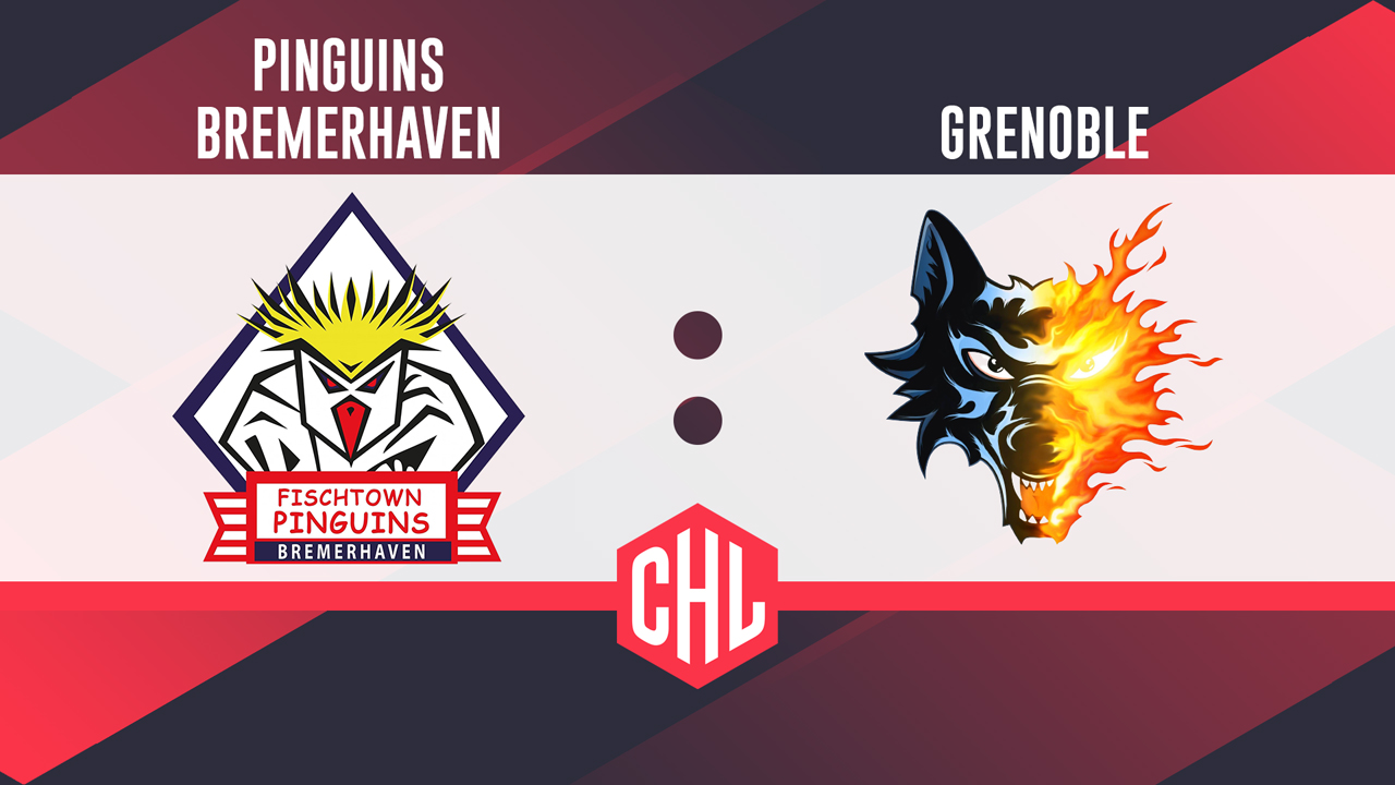 Fischtown Pinguins vs Brûleurs de Loups poster