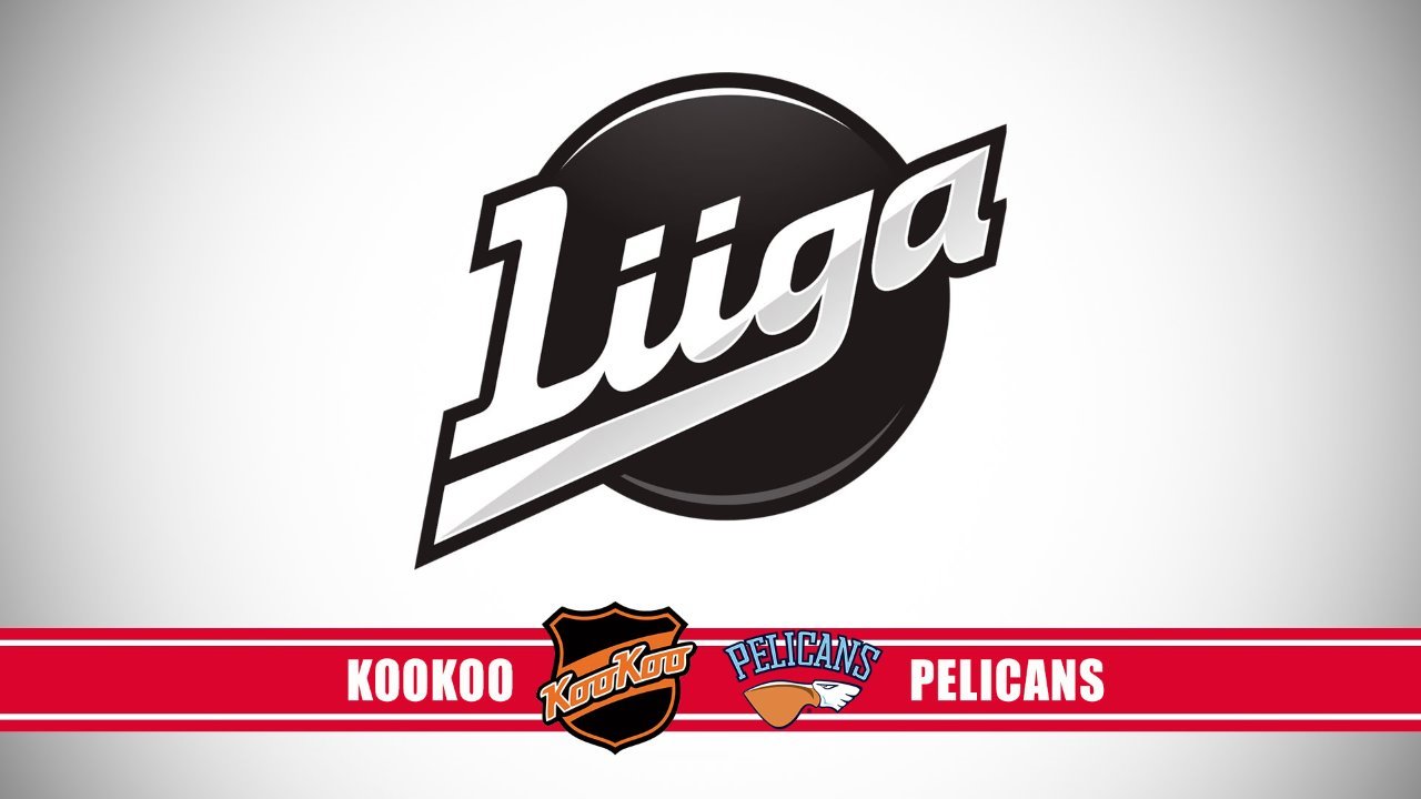 KooKoo vs Pelicans poster KooKoo vs Pelicans poster