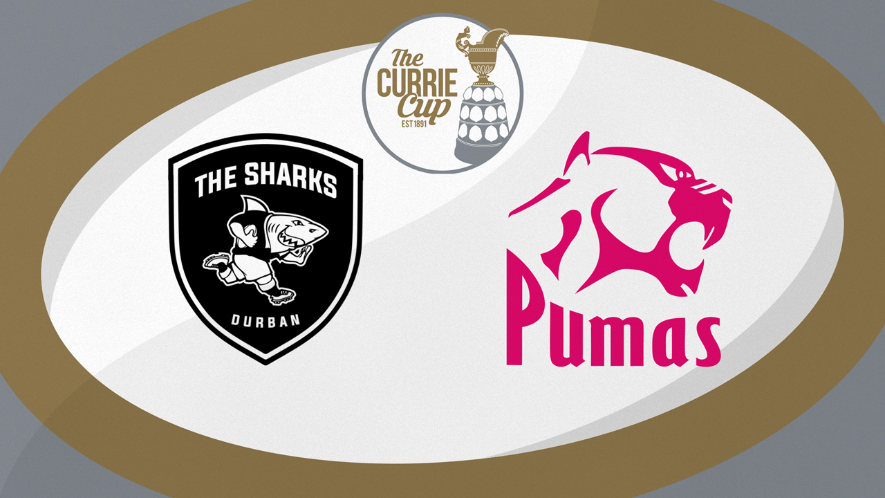 Sharks XV vs Pumas poster Sharks XV vs Pumas poster