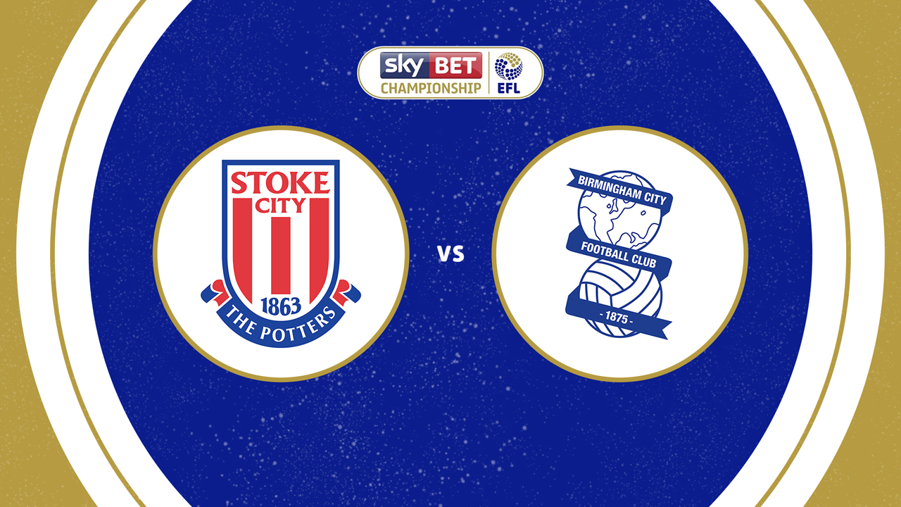 Stoke City vs Birmingham City poster Stoke City vs Birmingham City poster