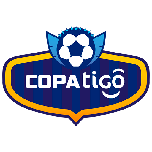 Bolivian Primera División badge Bolivian Primera División badge
