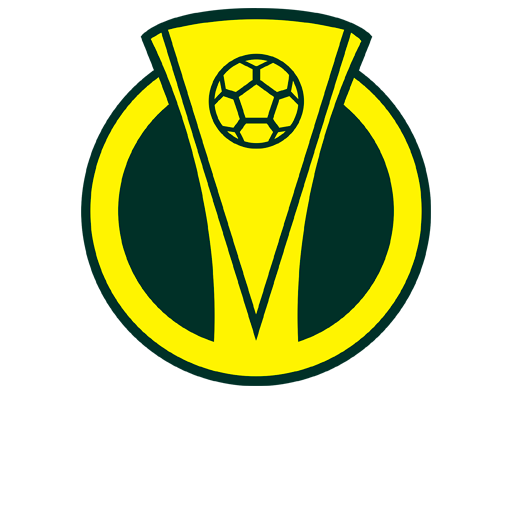Brazilian Serie C logo