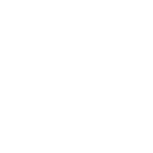 El Salvador Primera Division badge El Salvador Primera Division badge