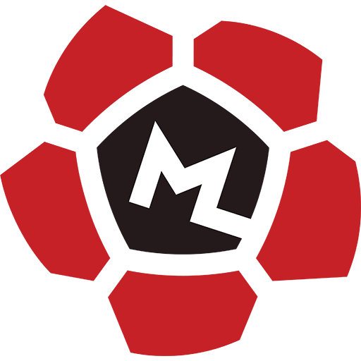 Estonian Meistriliiga badge Estonian Meistriliiga badge