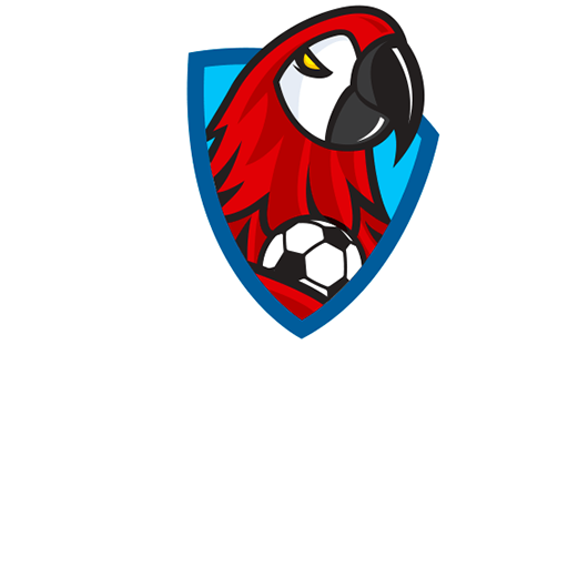 Honduras Liga Nacional de Futbol badge Honduras Liga Nacional de Futbol badge