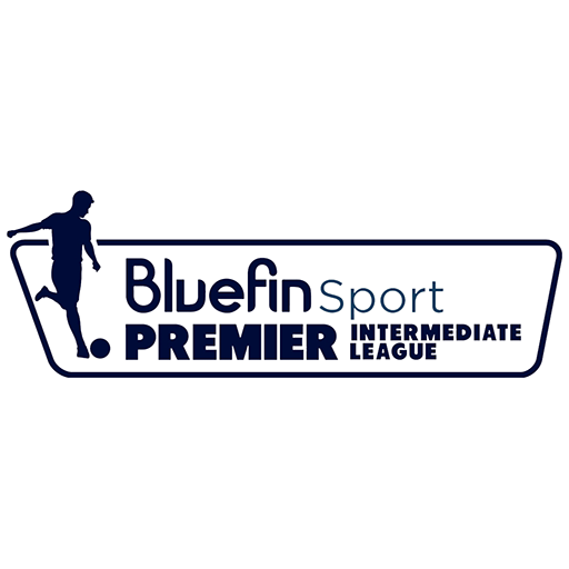 Northern Irish Premier Intermediate League badge Northern Irish Premier Intermediate League badge