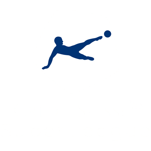 Swiss Super League badge Swiss Super League badge