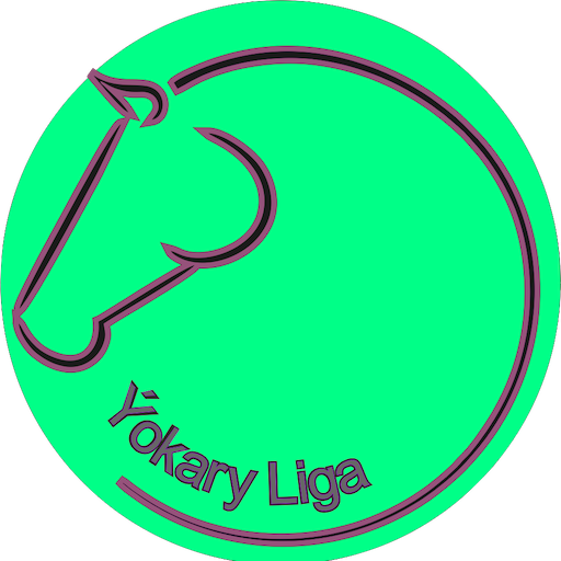 Turkmenistan Yokary Liga badge Turkmenistan Yokary Liga badge
