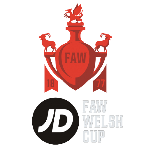 Welsh League Cup badge Welsh League Cup badge