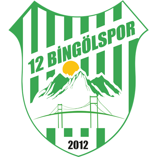 12 Bingölspor badge 12 Bingölspor badge