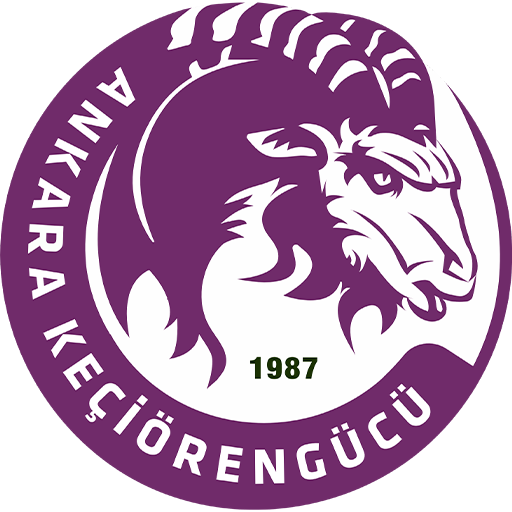 Ankara Keçiörengücü badge Ankara Keçiörengücü badge