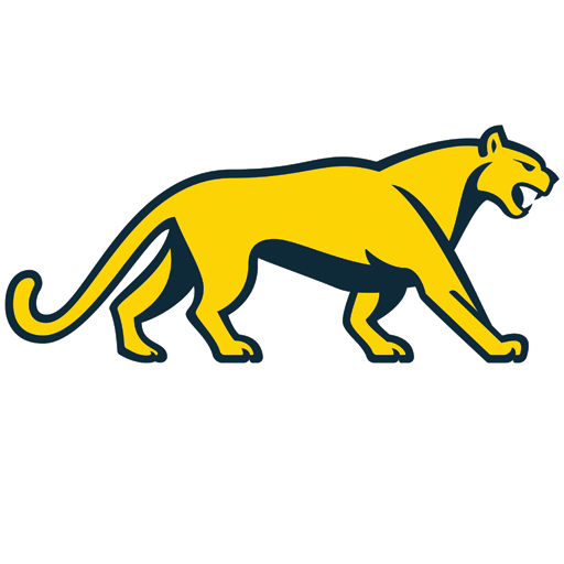 Australia Rugby vs Argentina Rugby badge right