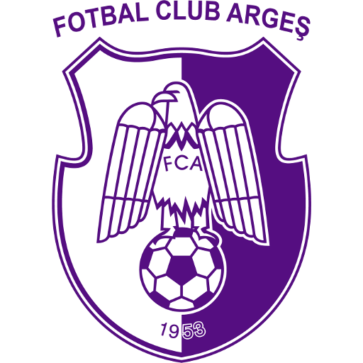Argeș Pitești badge Argeș Pitești badge