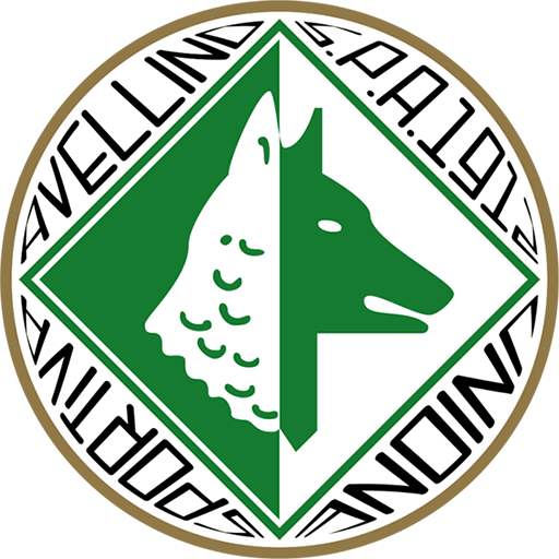 Avellino badge Avellino badge