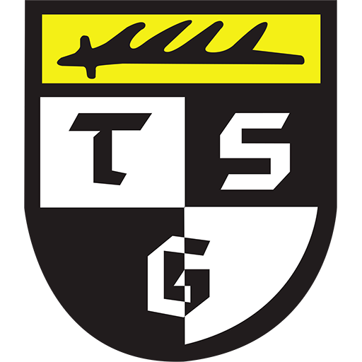 Balingen badge