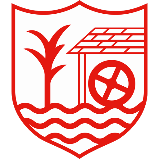 Ballyclare Comrades badge