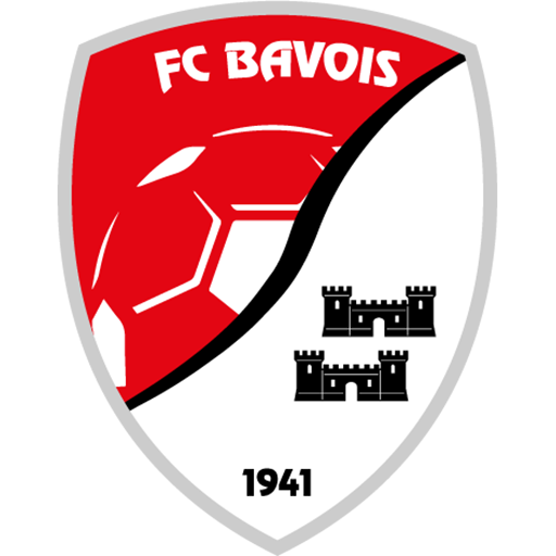 Bavois badge