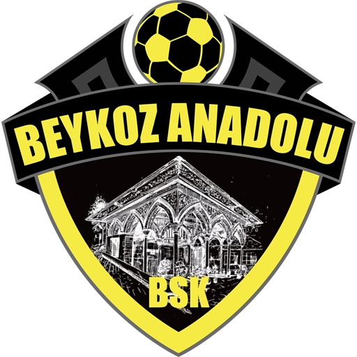 Beykoz Anadolu badge Beykoz Anadolu badge