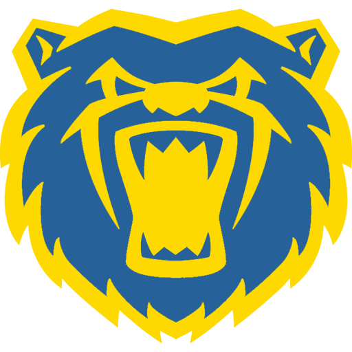 Birmingham Bears badge Birmingham Bears badge
