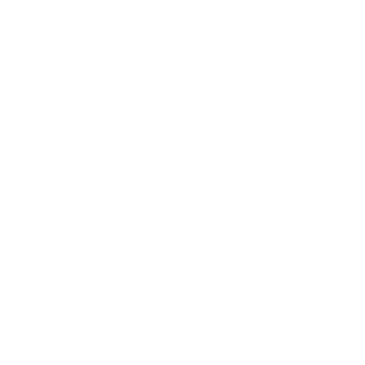 Bjerringbro-Silkeborg Håndbold badge Bjerringbro-Silkeborg Håndbold badge