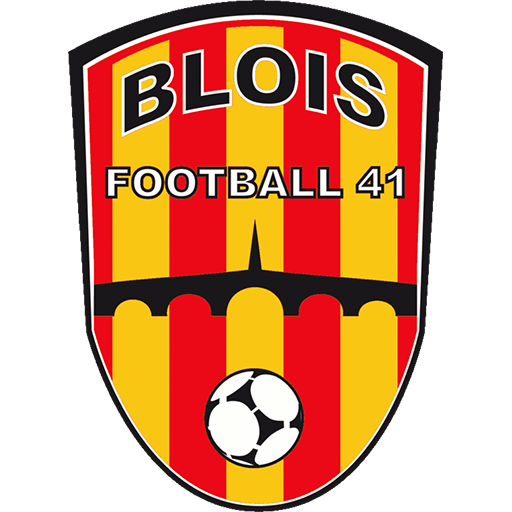 Blois badge