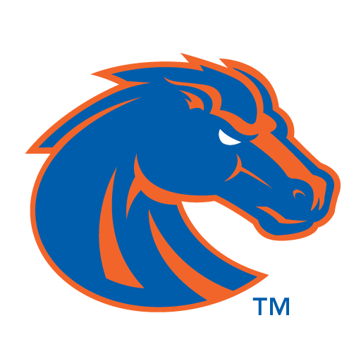 South Florida vs Boise State badge right