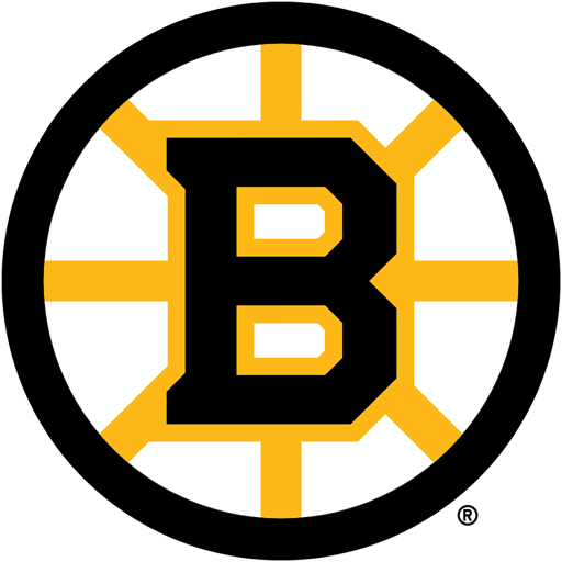 Boston Bruins badge Boston Bruins badge