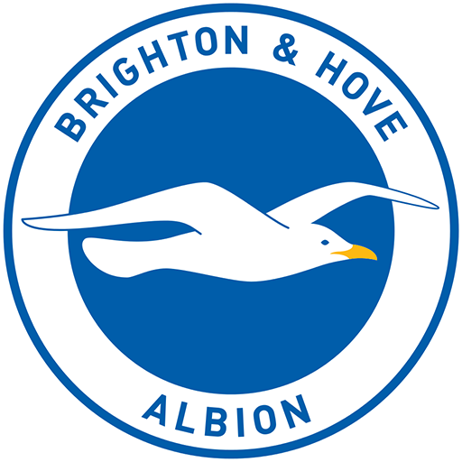 Brighton and Hove Albion vs Manchester City badge left