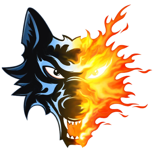 Brûleurs de Loups vs Bern badge left