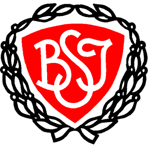 BSI badge BSI badge