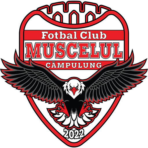 Câmpulung Muscel badge Câmpulung Muscel badge