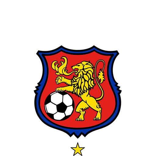 Caracas badge