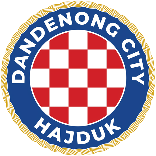 Dandenong City badge