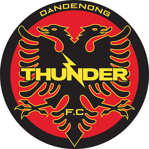 Dandenong Thunder badge