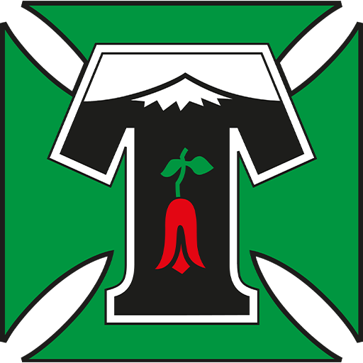 Deportes Temuco badge Deportes Temuco badge