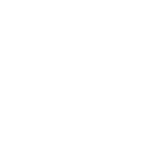 Dinamo-2 Tbilisi badge
