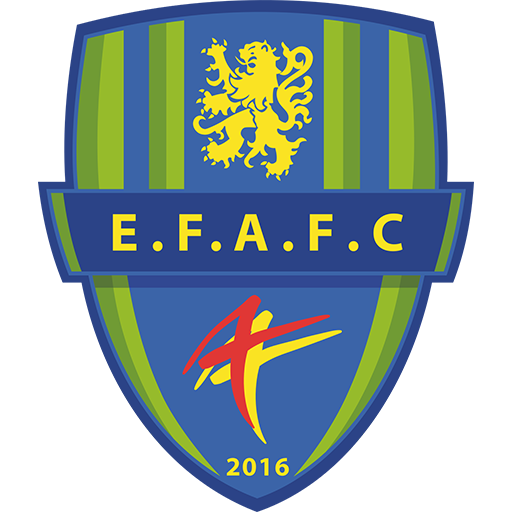 Entente Feignies Aulnoye badge