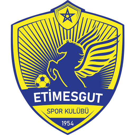Etimesgutspor badge Etimesgutspor badge