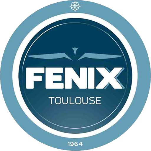 Fenix Toulouse Handball badge Fenix Toulouse Handball badge
