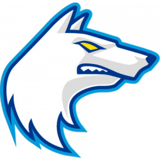 Finland Basketball badge Finland Basketball badge