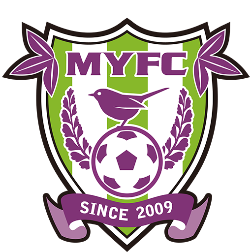 Fujieda MYFC badge Fujieda MYFC badge