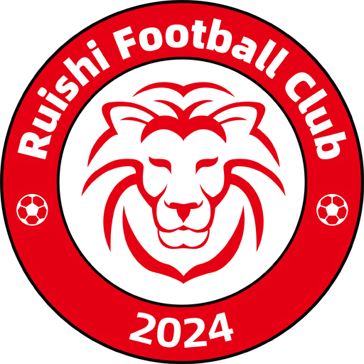 Ganzhou Ruishi badge