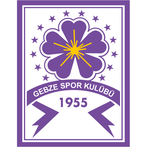 Güzide Gebzespor badge Güzide Gebzespor badge
