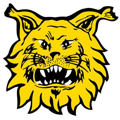 Ilves badge Ilves badge