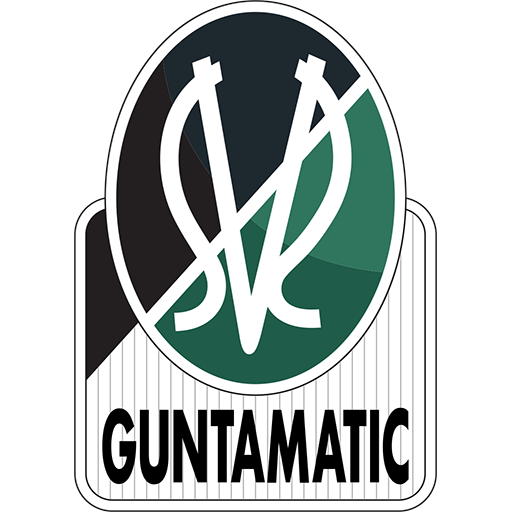 Junge Wikinger Ried badge Junge Wikinger Ried badge
