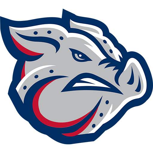 Lehigh Valley IronPigs badge