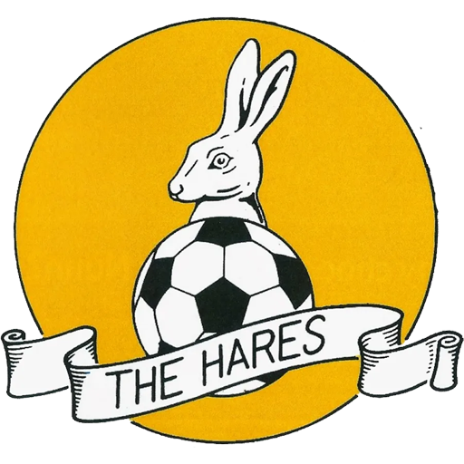 March Town United badge March Town United badge