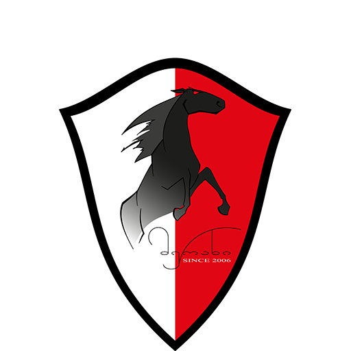Merani Martvili badge